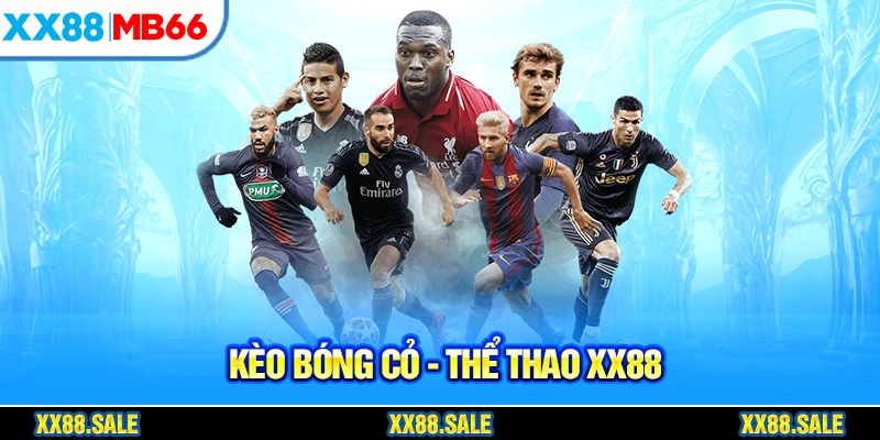 Chỉ đặt kèo bóng cỏ ở 1 - 3 giải đấu cụ thể