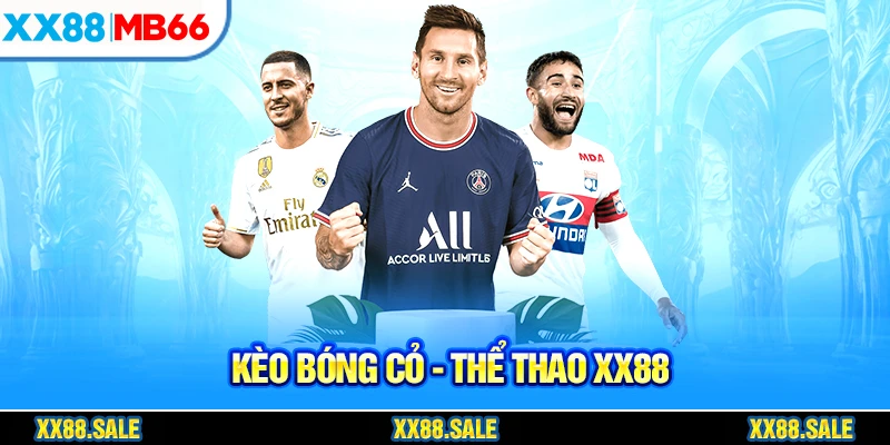 Giới thiệu hình thức đá bóng cỏ