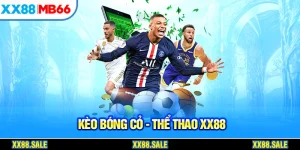 kèo bóng cỏ