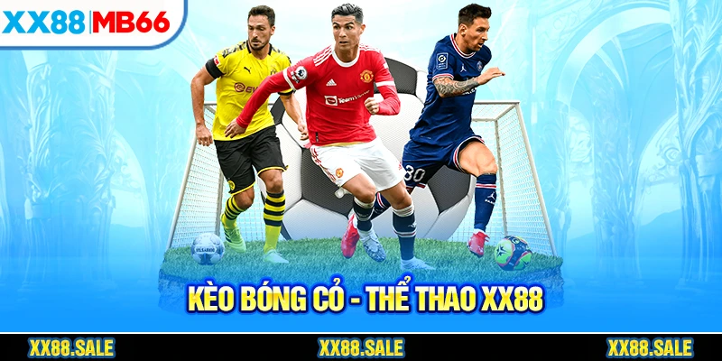 Khách hàng nên cẩn trọng khi chơi kèo bóng cỏ