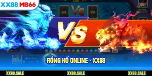 rồng hổ