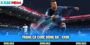 trang cá cược bóng đá