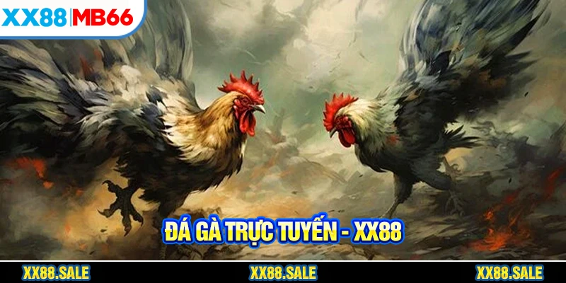 đá gà trực tuyến