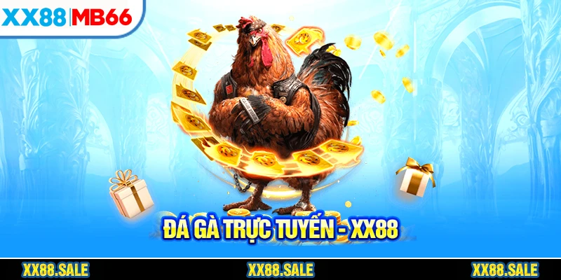So sánh 2 hình thức xem chọi gà